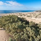 Sand dunes at Piscinas beach in Sardinia