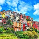 Colouful houses of Corniglia in Italy