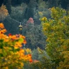 Cable-car in Gaujas National Park, Latvia