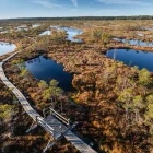 Kemeri Bog National Park in Latvia