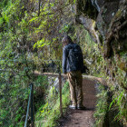 Hiker in Levada do Furado, Madeira