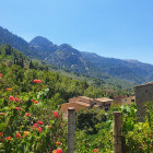 Countryside near Pollenca in Majorca.