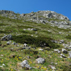 Galicica National Park in North Macedonia