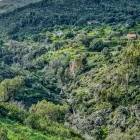 Hillside in Monchique, Portugal