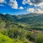 Hillside in Monchique, Portugal