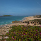Praia da Ilha do Pessegueiro in Portugal