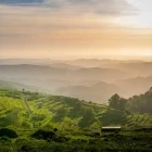 Sunset at Serra de Monchique in Portugal