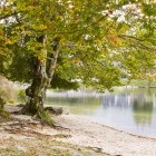 Lake Bohinj in Slovenia