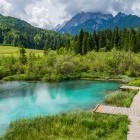 Zelenci near Kranjska Gora in Slovenia