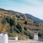 Rooftops in the Sierra Nevada mountains