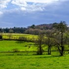 Meadow in Arzùa, Spain on the Camino Way