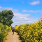 Pilgrim hiking in Spain on the Camino Way