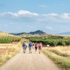 Group of hikers on a country track on French Way of Camino de Santiago
