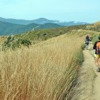 Group of hikers on a country track on French Way of Camino de Santiago