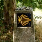Scallop shell waymarker on the Camino Way, Spain