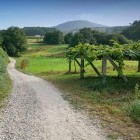 Trail near Caldas de Reis along the Camino de Santiago Coastal Way walking trail in Spain