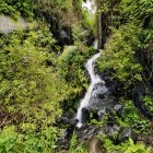 Waterfall at Garajonay National Park in La Gomera, the Canary Islands