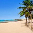 Playa Reducto Beach in Arrecife, Lanzarote, the Canary Islands