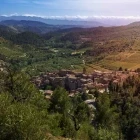 Olive trees surrounding Vilella Baixa village