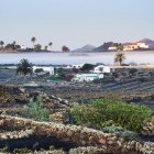 Misty vineyards and fig trees in Masdache, Lanzarote, the Canary Islands