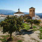 Fruit trees in Valor, Spain