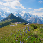 Tschuggen & Jungfrau in Switzerland