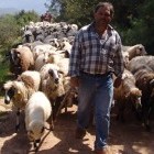 Walking with nomads in Lycia, Turkey