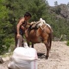 Nomad and mule in Lycia, Turkey