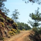 Path to Sazak Bay in Turkey