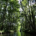 Spreewaldfließe in Germany