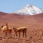 Atacama desert