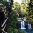 Walker admiring the view at Ojosdel Caburgua in Chile
