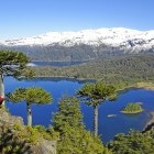 Parque Nacional Conguillio in Chile