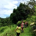 Walking through Camino de Osa, Costa Rica