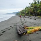Hikers on the way to Corcovado, Osa Peninsula