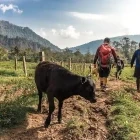 Hikers in Costa Rica