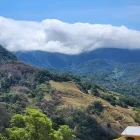 Monteverde cloud forest in Costa Rica