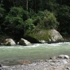 Pejibaye River in Costa Rica