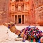 Camel in front of Petra in Jordan
