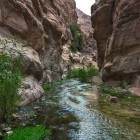 Wadi Ghuweir in Jordan