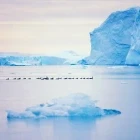 View of icebergs in Greenland, Arctic