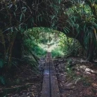 Trou de Fer in Salazie, Reunion Island