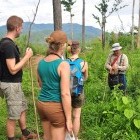 Nature walk in Thailand