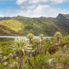 Landscape of Paramo de Siecha, Chingaza, Colombia.