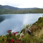 Area of water in Chingaza National Park, Colombia.