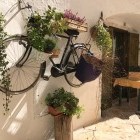 Bicycle with flowers in its basket hanging on a wall in Locorotondo, Italy