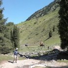 Hiker in Ala Archa Gorge,  Kyrgyzstan