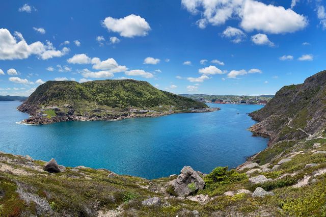 Newfoundland harbour