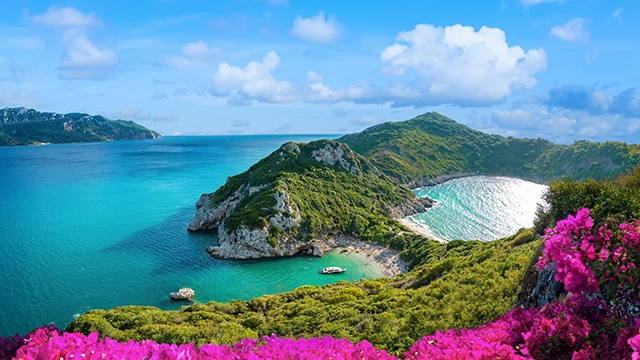 Aerial view of Porto Timoni Beach and pink flowers