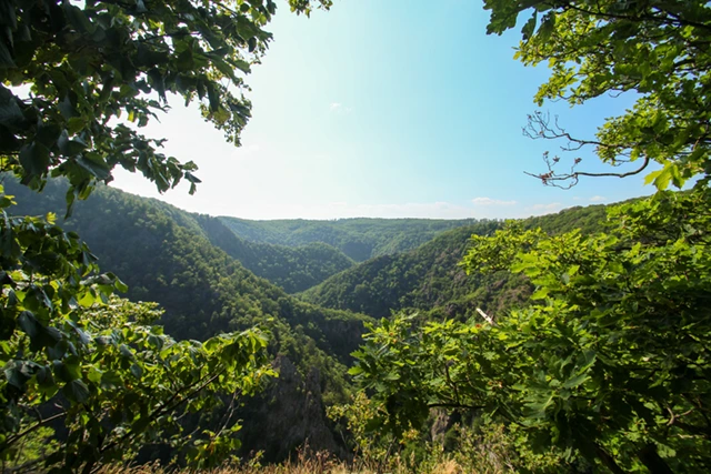 Bode Valley in Germany